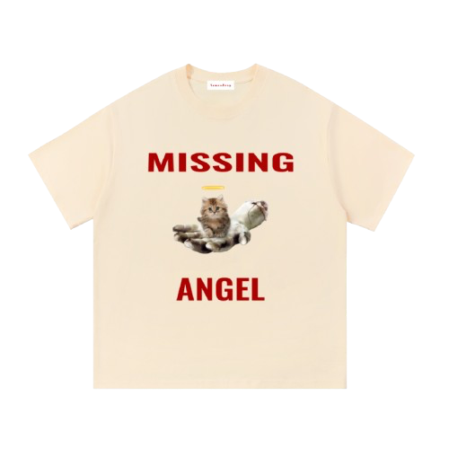 missing angel