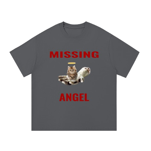missing kitty