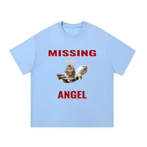 missing kitty