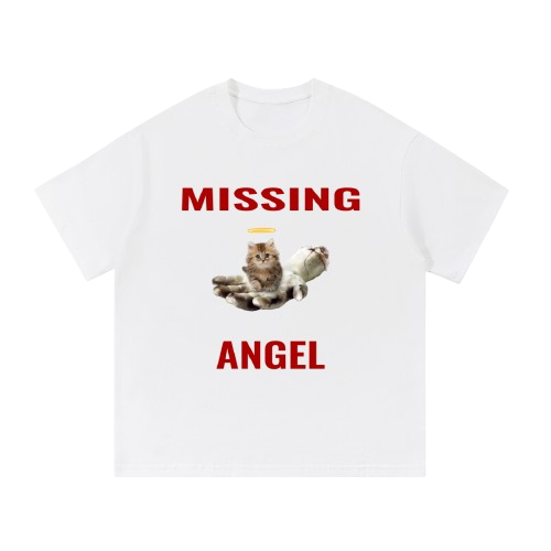 missing kitty