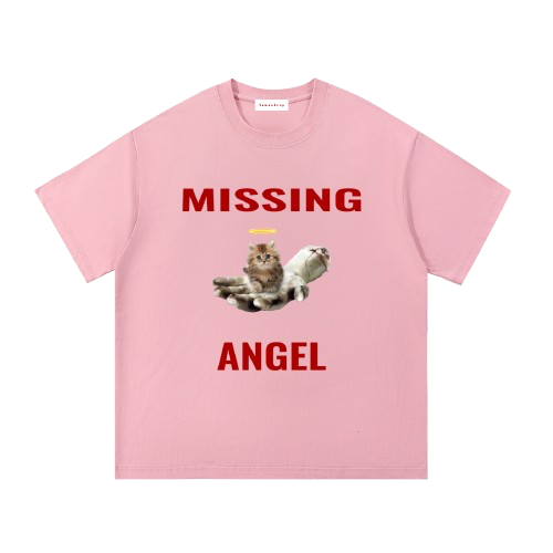 missing angel