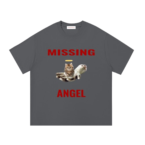missing angel