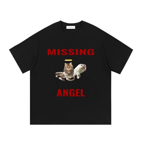 missing angel